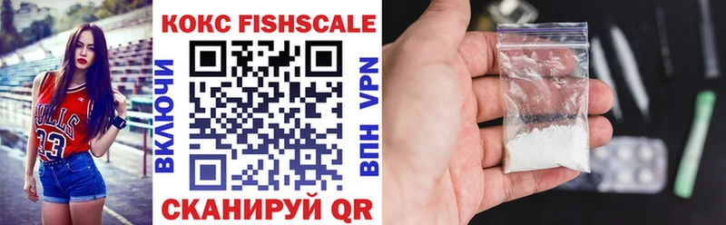 COCAIN FishScale  где купить наркоту  МЕГА онион  Свободный 