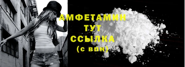 гашик Заводоуковск