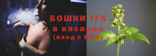 эйфоретик Пересвет