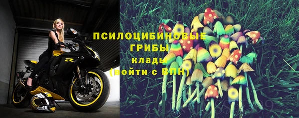 эйфоретик Пересвет