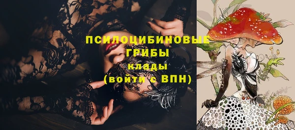 мяу мяу кристалл Переславль-Залесский