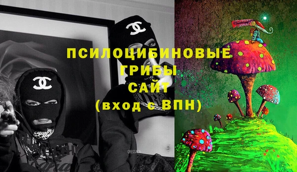 мяу мяу кристалл Переславль-Залесский