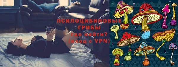 мяу мяу кристалл Переславль-Залесский