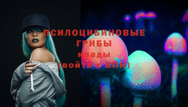 метадон Пестово