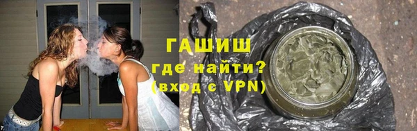 стаф Новосибирск