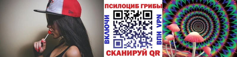 OMG вход  Свободный  Галлюциногенные грибы Psilocybe  что такое наркотик 