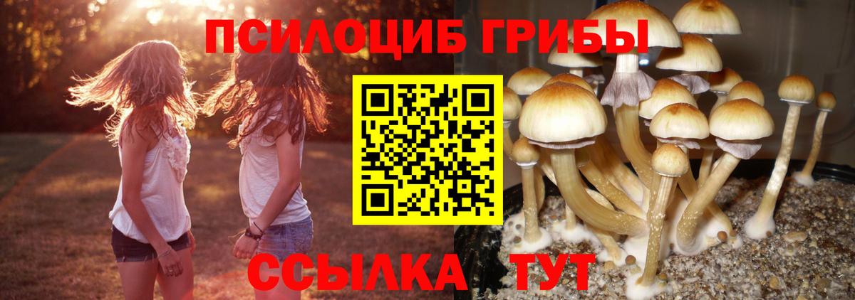 Псилоцибиновые грибы Magic Shrooms  Вход с VPN  Свободный  Галлюциногенные грибы мицелий 